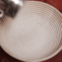 sourdoughdisco disco sourdough GIF