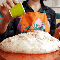 sourdoughdisco disco sourdough GIF