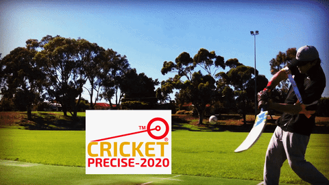 cricket precise GIF
