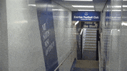 Premier League Soccer GIF by Everton Football Club