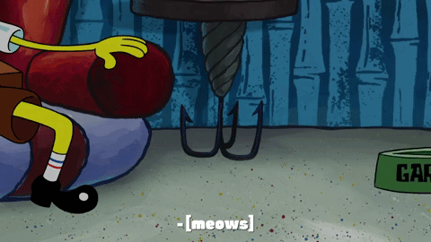 season 9 little yellow book GIF by SpongeBob SquarePants