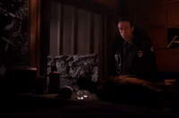 season 2 GIF by Twin Peaks on Showtime