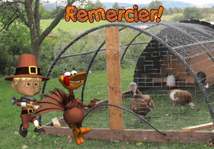 German Thanksgiving GIF