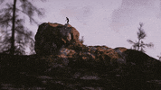 adventure explore GIF by Petit Biscuit
