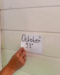 GIF by Ellie Holcomb