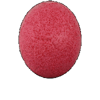 Valentines Day Pink Sticker by Jolly Pets