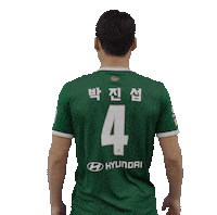 jeonbuk1994 전북현대 jeonbuk 전북 jeonbukhyundai Sticker