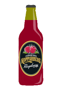 Summer Refreshing Sticker by KopparbergUK