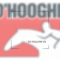 Dhooghevoeding dhooghe horsenutrition dhooghepaardenvoeding GIF