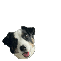 Happy Dog Sticker
