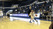 Air Force GIF by Air Force Falcons