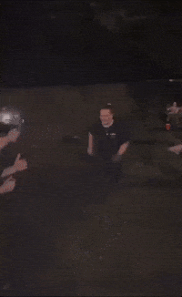 Juliuslamonica GIF