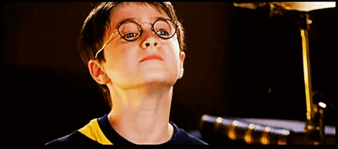 amoreparty giphyupload GIF