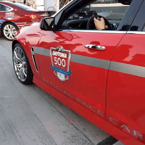 merica GIF by Richard Childress Racing