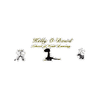 Champions Irish Sticker by Ashling Daly