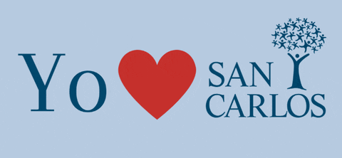 Sancarloscolegio  GIF