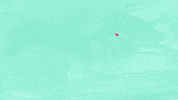 GIF by Amanda Bonaiuto