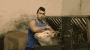 Euskara GIF by EiTB