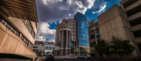 kentucky louisville GIF