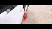 amine GIF by Republic Records