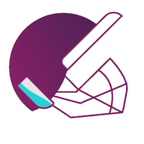 skrillpayments ipl indian premier league howzzat ipl 2020 Sticker