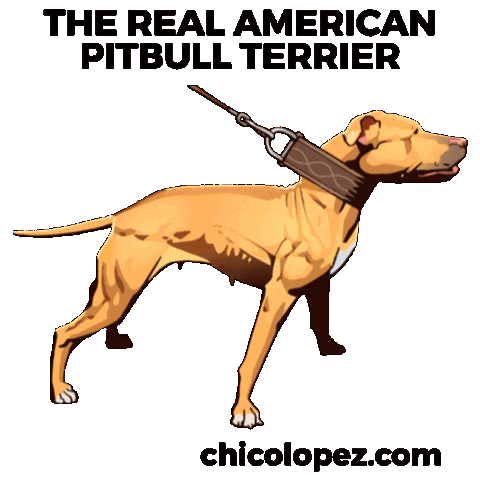 Pitbull Apbt Sticker by Chico Lopez