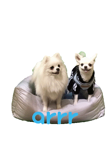 아르르 Sticker by arrr_official