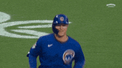 Cubs GIF by Marquee Sports Network