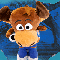 Hoffi GIF by TSG Hoffenheim