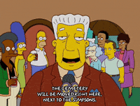 homer simpson GIF