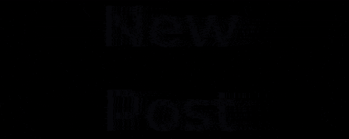 New Post GIF by TRAFFIC CHIC