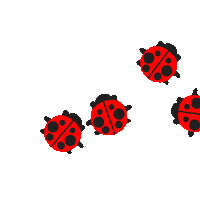 Lady Bugs Love Sticker