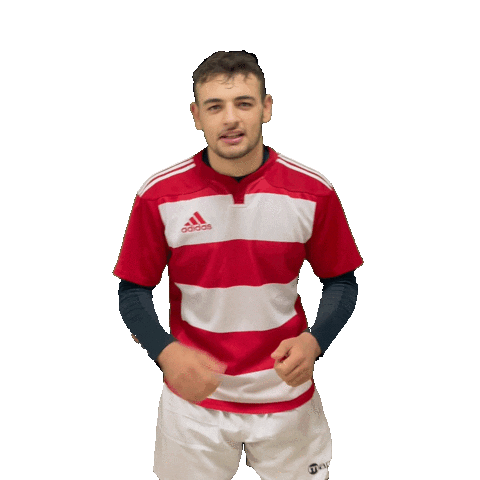 Try Meta Sticker by RIMINI RUGBY
