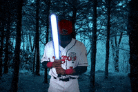 LansingLugnuts baseball star wars michigan blue jays GIF