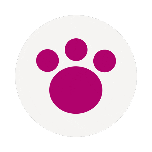 Dots Paw Sticker by LEGO