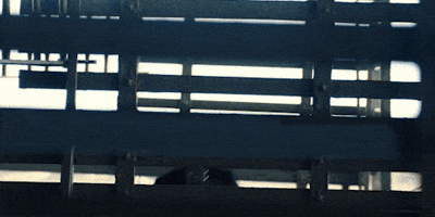 Dream Big Timothee Chalamet GIF by A24