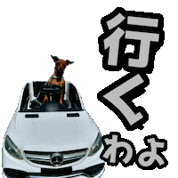 Go Miniature Pinscher Sticker