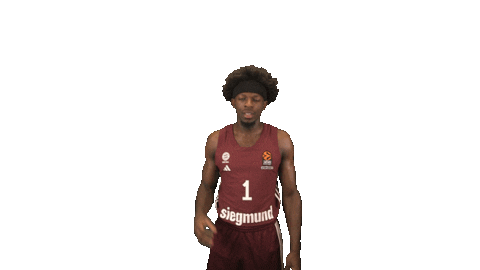Arrow Fcbb Sticker by FC Bayern Basketball