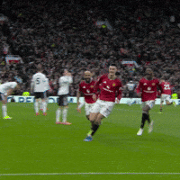 Come On Yes GIF by Manchester United