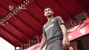 sevilla fc futbol GIF by Sevilla Fútbol Club