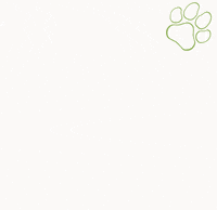 Mask Applause GIF by maskmatters