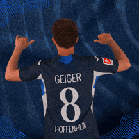 Sport Bundesliga GIF by TSG Hoffenheim