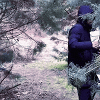 Wave Hello GIF