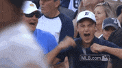 Major League Baseball Reaction GIF by Detroit Tigers