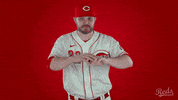 Baseball Mlb GIF by Cincinnati Reds