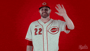 Baseball Mlb GIF by Cincinnati Reds