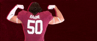 Football Roll Pards GIF by Lafayette Leopards