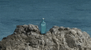 PapaSalt dance music party summer GIF