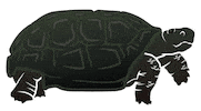 Gopher Tortoise Florida Sticker by Squatch and Siren