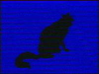 markvomit vhs blackcat GIF